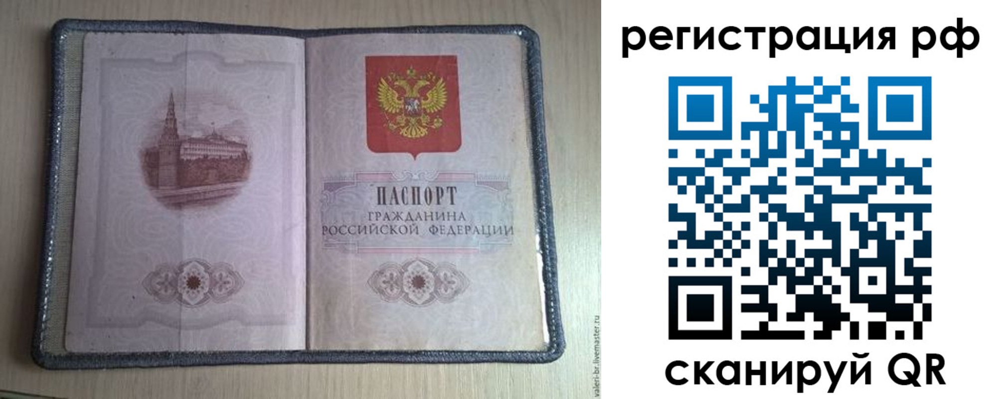 прописка поиск в Вологде